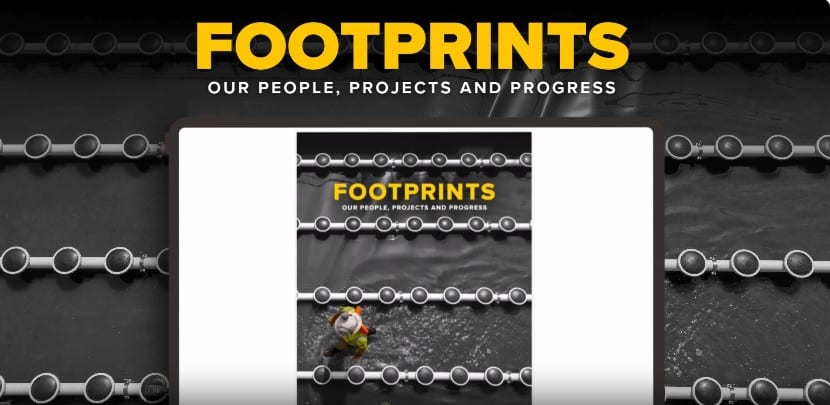Footprints: Our People, Our Projects and Our Progress 2025